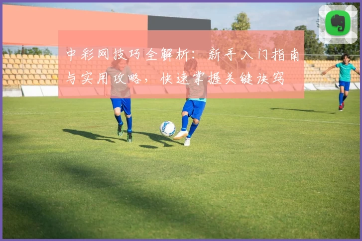 中彩网技巧全解析：新手入门指南与实用攻略，快速掌握关键诀窍