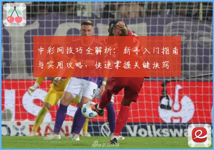 中彩网技巧全解析：新手入门指南与实用攻略，快速掌握关键诀窍
